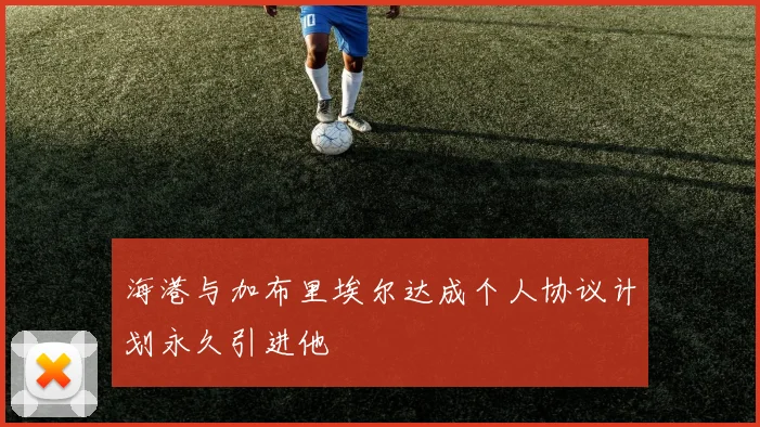 海港与加布里埃尔达成个人协议计划永久引进他