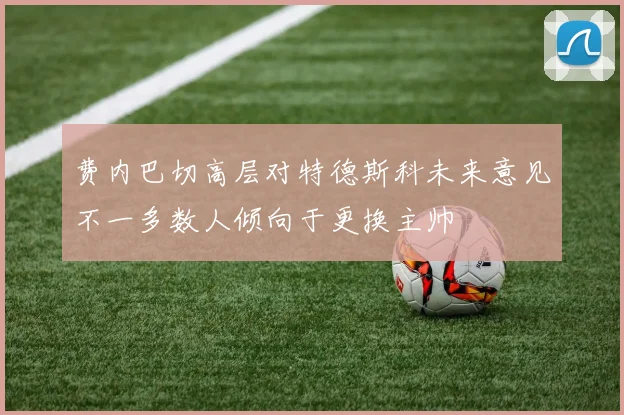 费内巴切高层对特德斯科未来意见不一多数人倾向于更换主帅